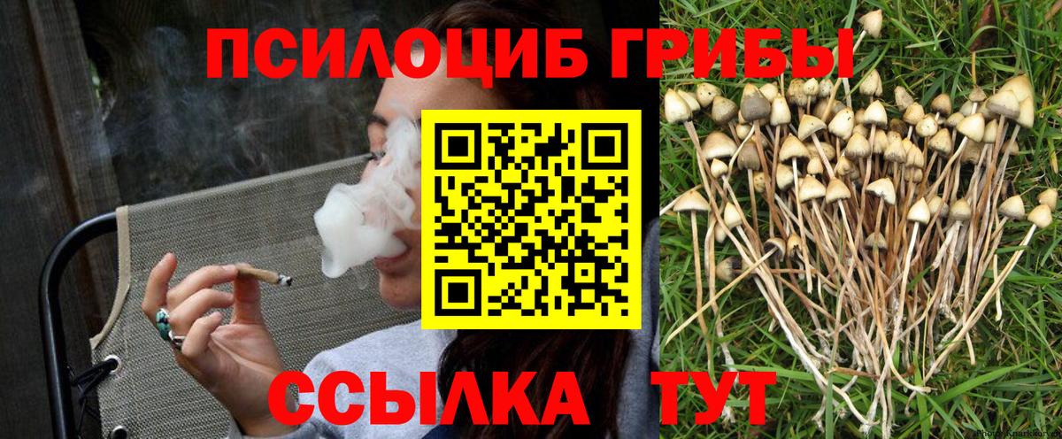 купить наркоту  Вход с VPN  Псилоцибиновые грибы GOLDEN TEACHER  Урус-Мартан  Псилоцибиновые грибы мицелий 